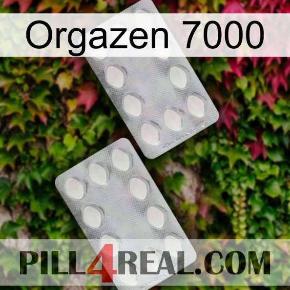 Orgazen 7000 17.jpg